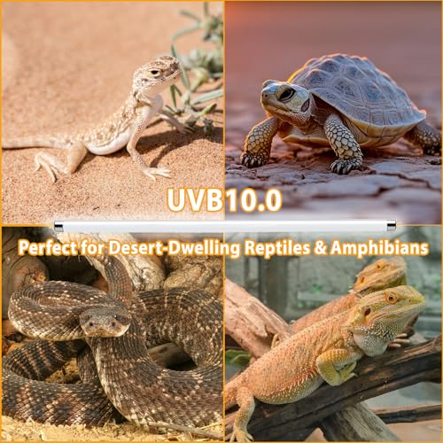 24W T5 UVB Reptile Light Fixture 22" with 2 Pack 24W UVB Bulbs – UVA UVB Lighting Kit for Bearded Dragons, Lizards & Tortoises