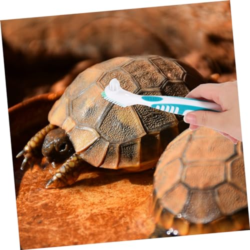 Happyyami 3pcs Turtle Brush Tortoise Shell Cleaning Brush Reusable Lightweight Ergonomic Handle Multi-Purpose for Turtle Care - color: Light Green