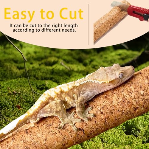 Cork Branch for Reptiles – 15.7" Natural Climbing Wood Sticks for Crested Geckos, Tree Frogs, Bearded Dragons, Snakes, Lizards & Chameleons – Perfect Terrarium Habitat Decor