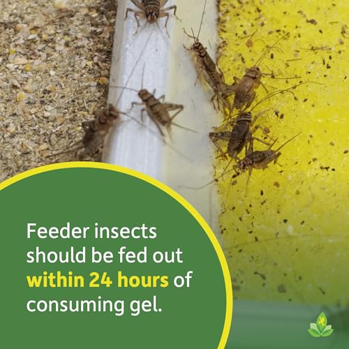 Josh's Frogs Calci-mMm Insect Gutloading Gel with Calcium (16 oz) - size: 16 Fl Oz (Pack of 1)