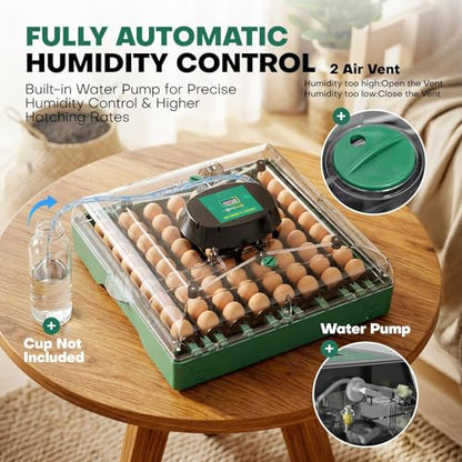 72 Eggs Hatching Incubator for Chicken/Duck/Quail | Automatic Egg Turner, Humidity Control, Digital Temp, 360° Clear View, Ideal for Lab School Farm