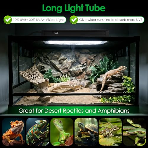 UVB Light for Reptiles Bearded Dragon, T5 UVB Reptile Light Fixture HO UVB Bulb Lighting Combo Kit 10.0 8W UVA UVB Reptile Light Bulb Terrarium Lamp Tube Bar for Snake Gecko Turtle Lizard, 12 Inch - size: T5-12Inch