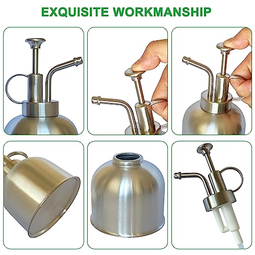 Stainless Steel Plant Sprayer, Small Watering Can for Indoor Potted Plants - color: 10oz/ Matte Silver