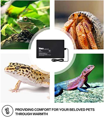 iPower 8"x12" Reptile Under Tank Heating Pad Heat Mat Terrarium Heater Warmer, Digital Thermometer and Hygrometer with Temperature and Humidity Probe for Amphibian Pet and Small Animals - size: 8 X 12 Inch, style: Pad + Thermo & Hygrometer
