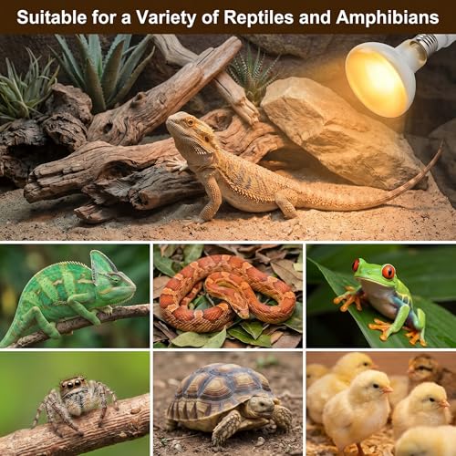 2Pack 100W UVA Simulate Natural Daylight Reptile Heat Lamp Bulbs | Terrarium Reptile Basking Bulbs for Reptiles, Bearded Dragon, Lizard, Chicken, Turtle, Snake