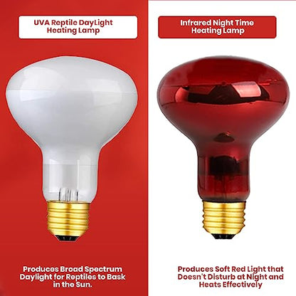 Reptile Heat Lamp Bulb 100 Watts UVA Basking Light for Reptiles and Amphibian, Basking Light for Bearded Dragon, UVA Reptile Light Bulb E26 Base 2 Pack - style: 100WR25-WHITE-2PK