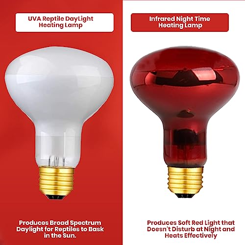 75 Watts UVA Reptile Heat Lamp Bulbs Basking Light for Reptiles and Amphibian, Basking Light for Bearded Dragon, UVA Reptile Light Bulb E26 Base 2 Pack - style: 75WR25-WHITE-2PK