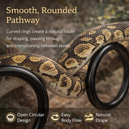 2PCS Snake Climbing Rings for Ball Python - Enrichment Toys for Corn Snake | Reptiletank Cage Decor Habitat Accessories | Terrarium, Bearded Dragon, Chameleon, Iguana, Gecko, Lizard, Parrot