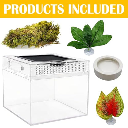 Reptile Terrarium, Jumping Spider Enclosure Starter Kit, Leopard Gecko Habitat Container, 8"x8"x6"Reptile Tank for Tarantula, Hermit Crab, Insect, Fish, Frog, Small Bearded Dragon, Lizard - size: 8"x8"x6"