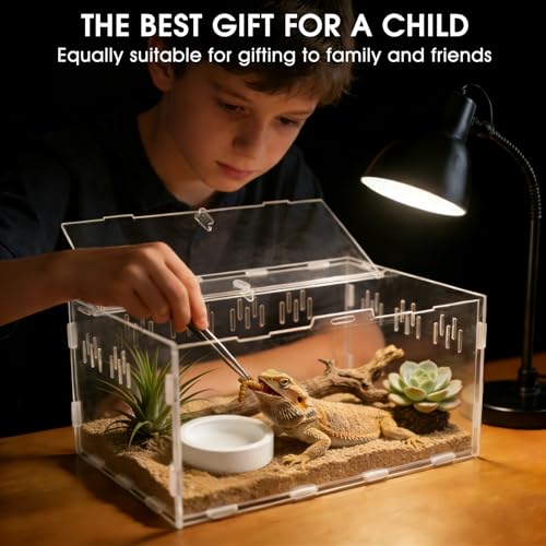 Acrylic Reptile Terrarium, Tarantula Enclosure(Tweezers & Bowl Included) | Reptile Tank with Magnetic Door for Spiders, Mantis, Frogs, Snails & Isopods, 11.4"x7.8"x5.9"