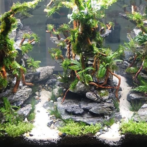 Natural Driftwood Root Trunk Tree Aquarium Decor, 10-30 CM | Randomly Bundled, Fish Tanks, Terrariums, Aquascaping & Planted Tanks