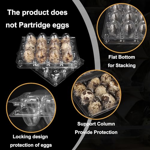 200 Pack Quail Egg Cartons, Clear Plastic Quail Egg Trays, Holds up to 12 Quail Eggs Securely - Your Ultimate Small Eggs Carton Holders for Bulk Storage and Display - size: 12 Grids