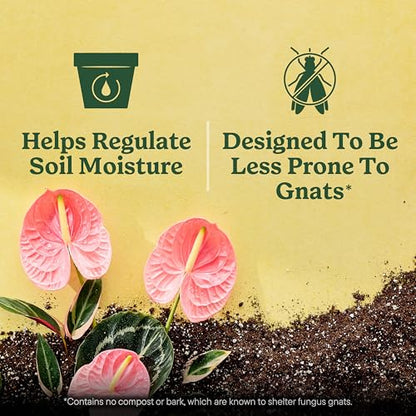 Miracle-Gro Indoor Potting Mix for All Plants, 6 qt., 2-Pack | Use with Houseplants and More, Feeds for up to 6 Months - size: 6 qt (2-Pack), style: 6 QT