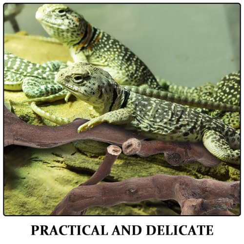 GALPADA 2pcs Reptile Climbing Branches Natural Wood Cork Logs with Smooth Safety Surface and Sturdy Support for Snake and Bearded Dragon Terrarium Decor Enclosures