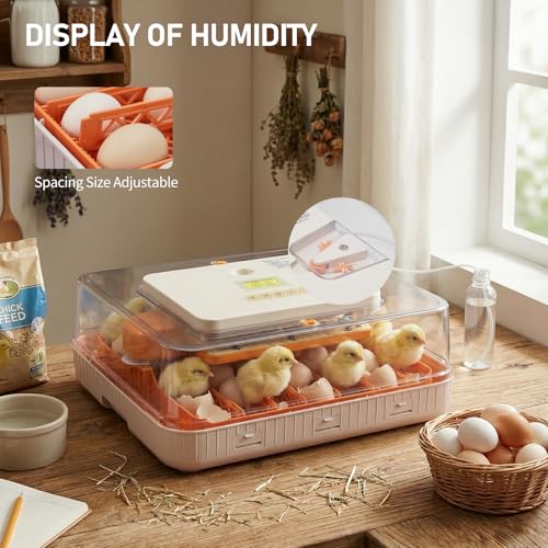 56 Egg Incubator with Temperature & Humidity Control | Automatic Egg Turning, Egg Candler, Automatic Water Filling, Day Counter