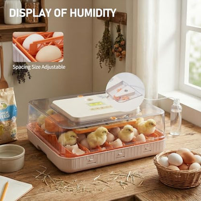 56 Egg Incubator with Temperature & Humidity Control | Automatic Egg Turning, Egg Candler, Automatic Water Filling, Day Counter