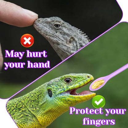4 Pcs Reptile Feeding Tongs, Silicone Crested Gecko Food Spoon Set, Long Handle Reptile Spoon & Spatula for Lizard Gargoyle Bearded Dragon, Dual Size Purple Green Mixing Stirring Tool for Powder Fruit