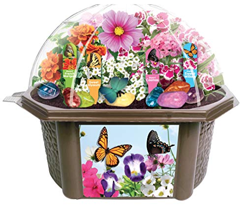 Toys by Nature Biosphere Terrarium Starter Kit, Complete Supplies Included to Grow Your Own Enchanting Garden and Indoor Plants! (Bountiful Butterfly Garden) - style: Bountiful Butterfly Garden
