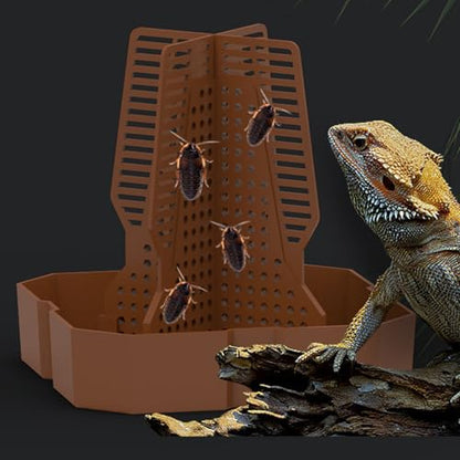 Escape Proof Reptiles Feeding Bowl for Lizards Bearded Dragons Geckoses Frogs Window Easy to Adjustable Reptiles Dish