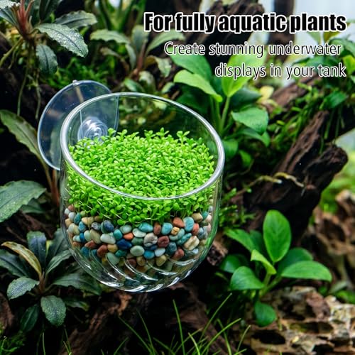 3 Pcs Aquarium Plant Holder for Java Fern Live Plant for Aquarium Suction Cup Clear Acrylic Fish Tank Aquascape for Moss Balls Marimo Betta Shrimp Decor Accessories Anubias Java Moss Cup