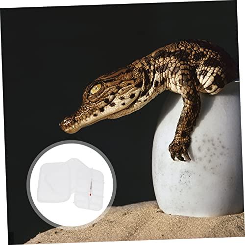 BESPORTBLE Compartments Reptile Egg Incubator Tray for Hatching Lizards and Geckos Durable Breeding Box with Temperature Gauge Efficient Egg Holder for Reptile Hatchery