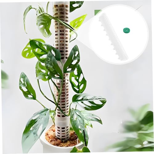 3 Pack Plant Support Stakes Plastic Moss Poles for Indoor Climbing Vines Monstera Plant Stakes Sphagnum Moss Pole Terrarium Decor