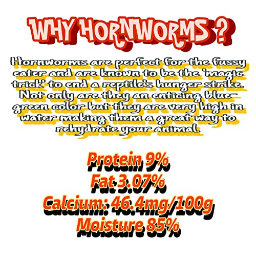 Live Hornworms 24-30+ Counts Per Cup - Super Variety Meal Worms and Live Insects Reptile Treat for Bearded Dragons, Chameleons, Geckos, and Other Reptiles