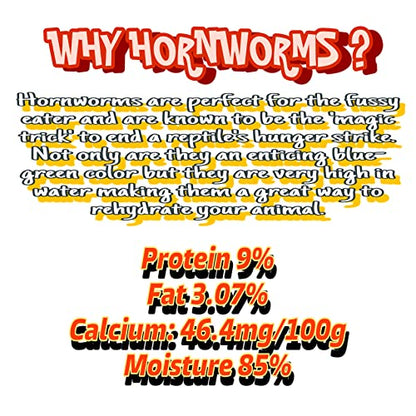 Live Hornworms 24-30+ Counts Per Cup - Super Variety Meal Worms and Live Insects Reptile Treat for Bearded Dragons, Chameleons, Geckos, and Other Reptiles