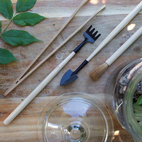 Terrarium Tool Kit 4 Piece