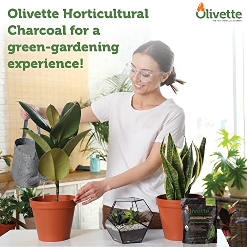 OLIVETTE Organic Biochar Activated Charcoal for Plants, 3 Bags | USDA Horticultural Charcoal, Moisture Control For Terrariums & Potted Plants, Biochar Soil Additive For Gardening - size: 3 Bags