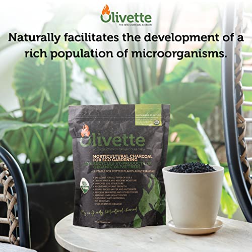 OLIVETTE Organic Biochar Activated Charcoal for Plants, 3 Bags | USDA Horticultural Charcoal, Moisture Control For Terrariums & Potted Plants, Biochar Soil Additive For Gardening - size: 3 Bags