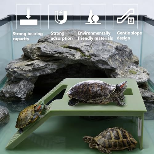 Turtle Resting Basking Platform, Double Ladder Turtle Climbing Ramp, Tortoise Resting Terrace for Frog Terrapin Reptile Amphibian Habitat Hideouts Floating Tank Décor (Green, Small) - size: Small