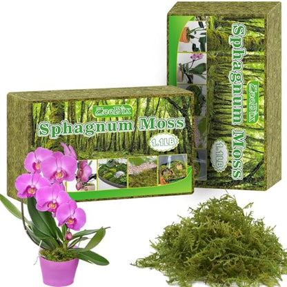 Sphagnum Moss 2.2 LB Long Fiber Green Forest Moss | Ideal for Repotting Orchids, succulents, and Indoor Plants Natural Sphagnum Retains Moisture, Improves Root Aeration - size: 2.2 LB