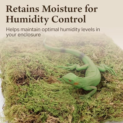 Deco Moss for Terrarium Habitats, Medium 2-Pack | Preserved Moss for Reptiles, Amphibians & Invertebrates Terrariums, Humidity Control, Soft, Dye-Free, Family Owned, USA Made - size: Medium 2-pack, style: Deco Moss