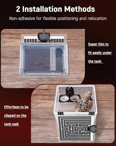 Pawfly 5 W Reptile Heat Pad with Thermostat 5.9 x 5.5 Inch Reptile Heating Pad Under Tank Terrarium Reptile Heat Mat for Turtles Frogs Snakes Lizards Geckos Hermit Crabs & Spiders - size: 5 W (5.9 x 5.5 Inch) with Controller