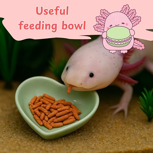 Axolotl Hammock For Aquarium with Ceramic Feeding Dish, Axolotl Hammock with Bowl, Reptile Triangle Hammocks with Tray Feeder, Axolotls Accessories For Tank, Bearded Dragon Tank Accessories (Black, S) - size: S