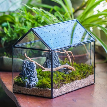 NCYP Glass Terrarium with Acrylic Lid, 10.2x5.9x8.2 Inches House Shape Glass Terrarium for Snails, Indoor Tabletop Decor, Handmade (Plants Not Included)