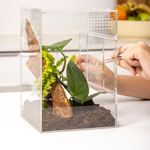 EctoTherm Arboreal Jumping Spider Enclosure and Arboreal Tarantula Enclosure - size: Medium