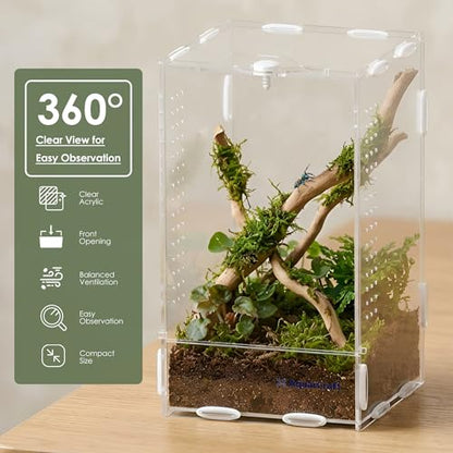 Acrylic Jumping Spider Enclosure, 4.3 x 4.7 x 7.8 in Clear Terrarium | Front opening ventilated habitat for jumping spiders, small spiders and slow-moving invertebrates; clear acrylic display. - size: 4.33 x 4.72 x 7.87 inches（11x12x20cm）