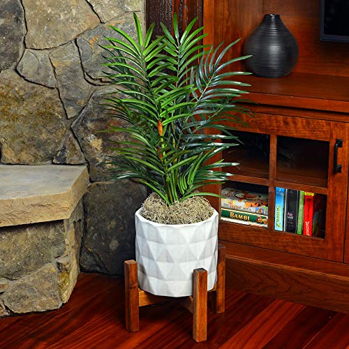 Mosser Lee ML0560 Spanish Moss, 250 Cubic Inches (Pack of 8) - size: Pack of 8