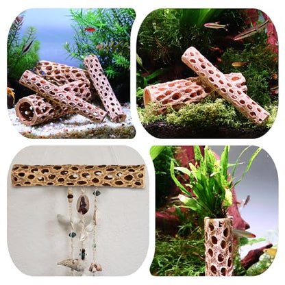 6“ Resin Cholla Wood Aquarium Décor Wood- Realistic Shrimp Hideout & Climbing Toy (6" L×1”Dia, 1pc)