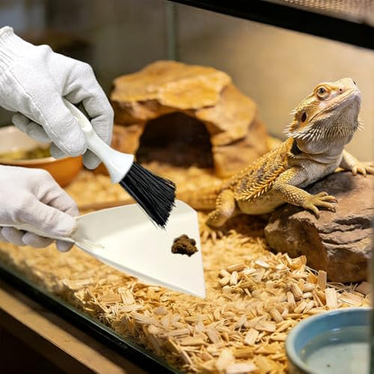 Bearded Dragon Tank Cleaning Kit – Reptile Enclosure Tool Set with Mini Dustpan, Brush, Scraper & Cleaning Cloth for Lizard & Gecko Terrarium Maintenance
