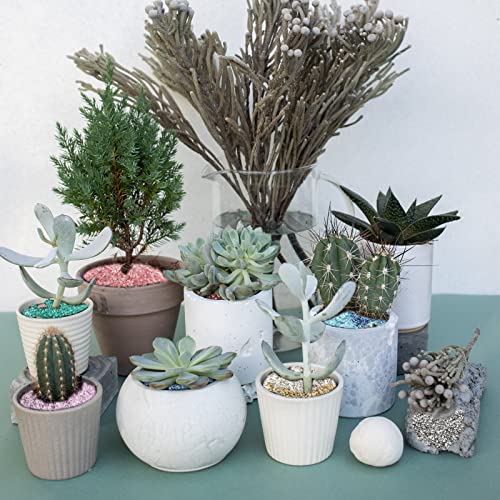 HappyFiller 1.3 LB Metallic Baige Crushed Glass for Resin Art,Crafts,3-8mm | Vase Filler,Wedding Table Centerpiece,Candle Holder,Terrarium Gravel Sand - color: Baige