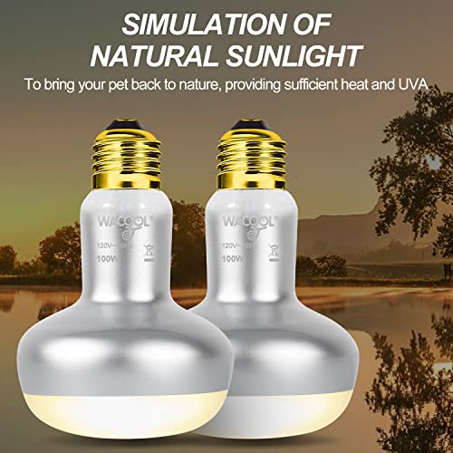 WACOOL 2 Pack 100W Reptile Heat Lamp Bulbs - Intense Basking Spot Lights for Bearded Dragons, Lizards, Turtles, Tortoises, Geckos - UVA Daylight Heat Lamp for Terrariums, Vivariums & Enclosures - style: 100W-2pack