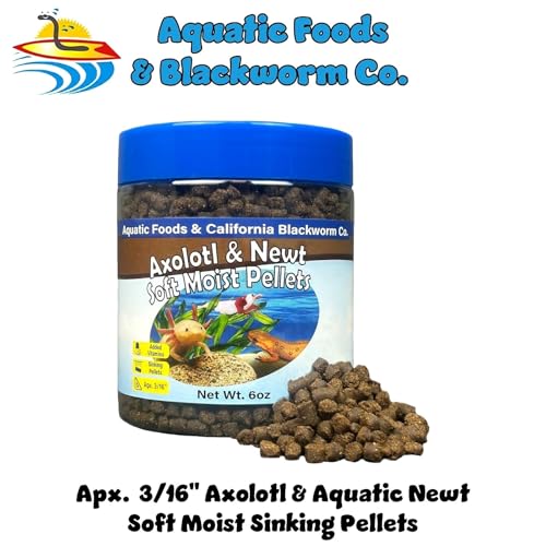 Axolotl Pellet Food 3/16" Soft Moist Sinking Pellets for Juvenile Axolotl Also Shrimp, Snails, Crayfish, Bottom Tropical Fish, Blackworm Pellets Included 6oz Canister - size: 6 Ounce (Pack of 1)