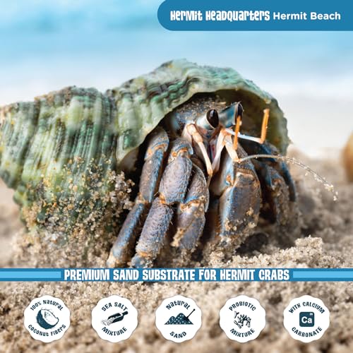 Fluker's All Natural Premium Hermit Crab Sand Substrate, Sand Mixture with Coconut Fiber, For Hermit Crab Tanks, 12 lbs. - size: 12 LBS