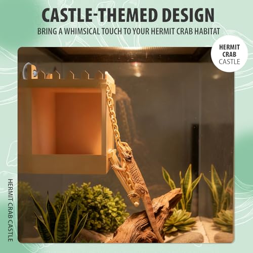 Hermit Crab Climbing Wall Foraging Cave Hermit Crab Accessories Climbing Toy Viewing Moist Hideaway Tank Enrichment Decor for Crabs Parrots Lizards Chameleon Reptiles