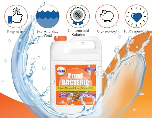 Pondworx Pond Bacteria - Formulated for Water Features and Safe for Koi (4 Gallon Value Pack) - size: 4 Gallon Value Pack