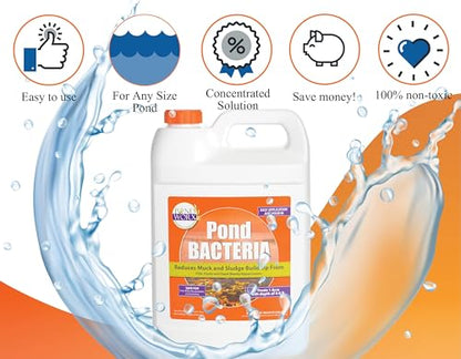 Pondworx Pond Bacteria - Formulated for Water Features and Safe for Koi (4 Gallon Value Pack) - size: 4 Gallon Value Pack