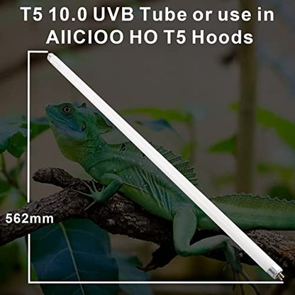 Aiicioo T5 HO Reptile UVB Light - Desert UVA UVB 10.0 Fluorescent Lamp 22" Tube Lighting Desert Reptile UVB Lamp 24W for Turtles Chameleon Tortoises Lizard Bearded Dragon - style: T5 Tube-24W 10.0